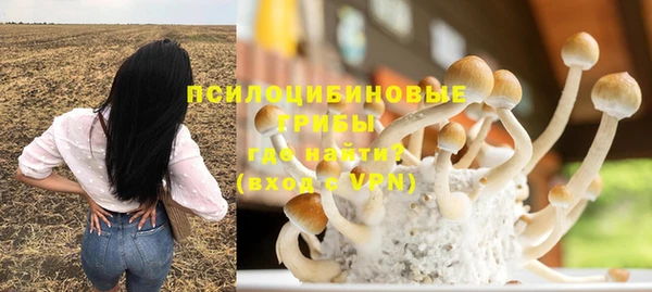 индика Алексеевка