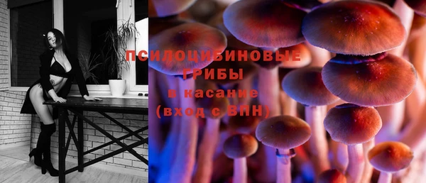 индика Алексеевка