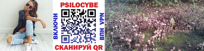 купить наркоту  Жуковка  Псилоцибиновые грибы Cubensis 
